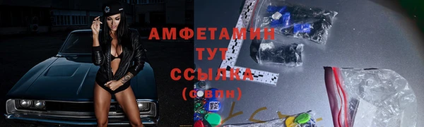 ПСИЛОЦИБИНОВЫЕ ГРИБЫ Алзамай