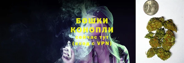 ПСИЛОЦИБИНОВЫЕ ГРИБЫ Алзамай