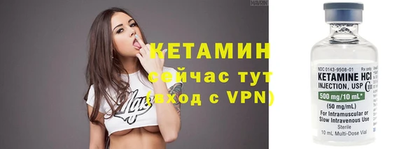 прущие грибы Абинск