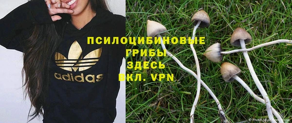 мяу мяу мука Абаза