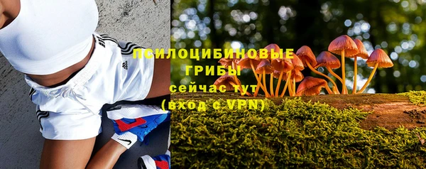 дмт Абдулино