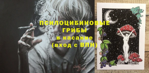 МДПВ Алексеевка