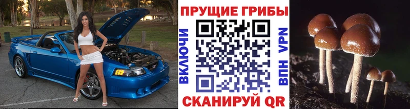 Псилоцибиновые грибы MAGIC MUSHROOMS магазин продажи Чухлома
